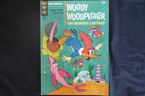 Woody Wood Pecker